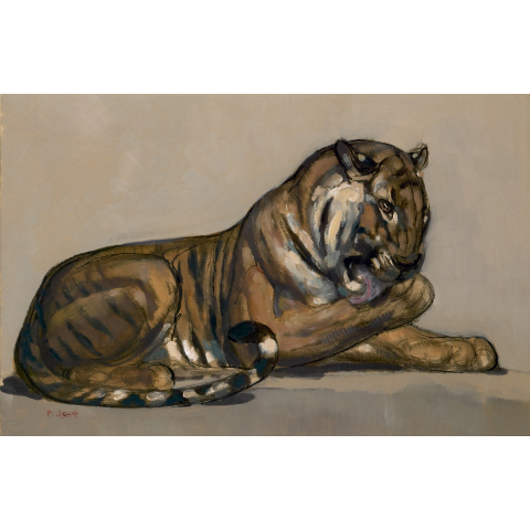 Tigre couché se léchant la patte, vers 1924